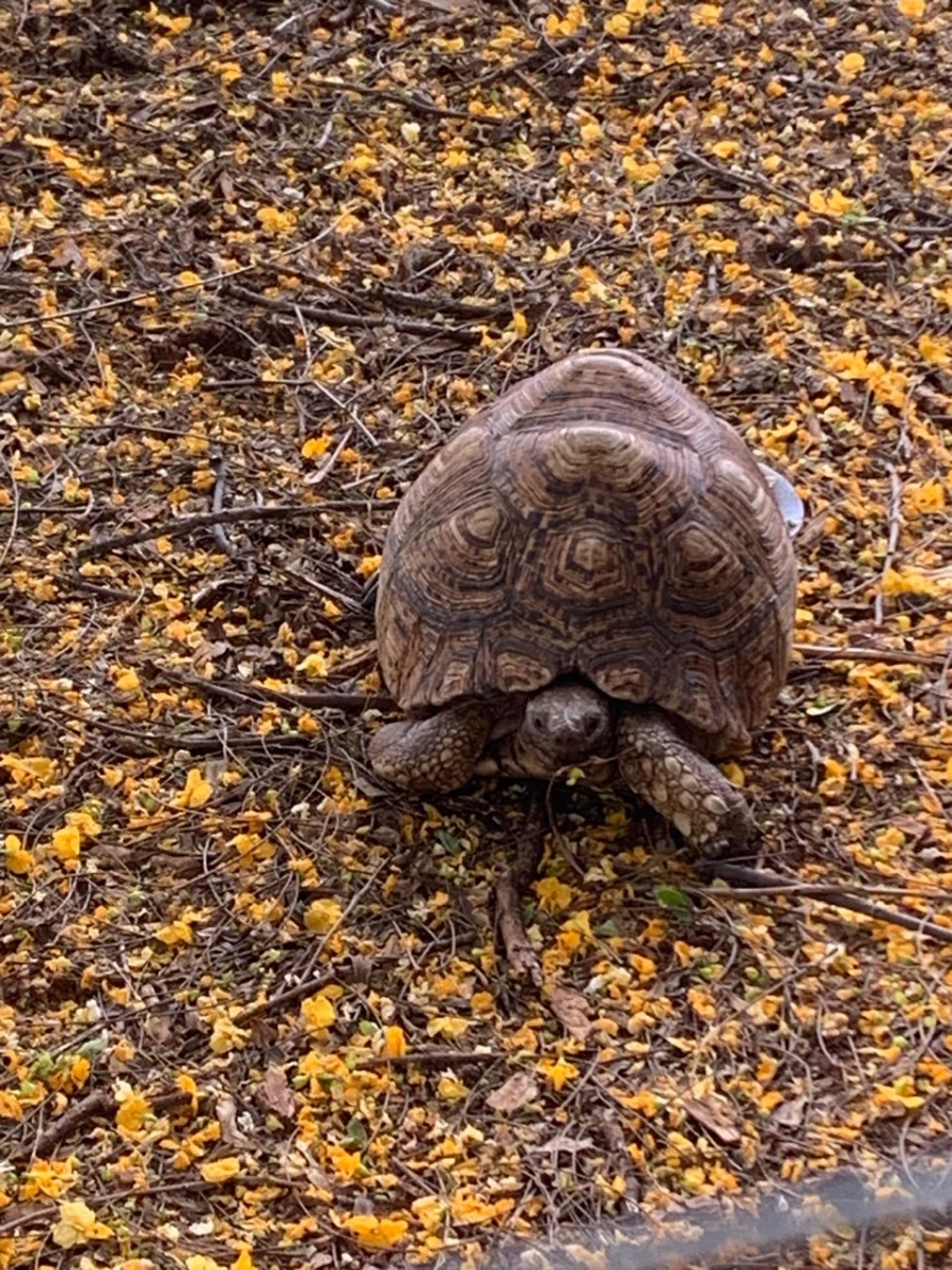 3 Bedroom Property for Sale in Rustenburg Rural North West